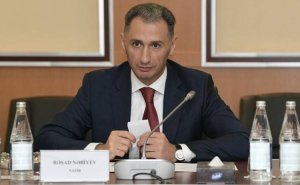 Rəşad Nəbiyev Parisdə medal qazanmış cüdoçuları təbrik etdi