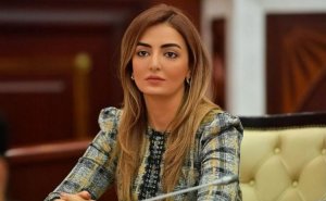 "İdman ixtisasları müasir yanaşmalar əsasında təkmilləşdirilməlidir"