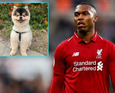 Starricin iti tapıldı