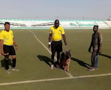 Hakim futbol matçını idarə etməyə iti ilə gedir