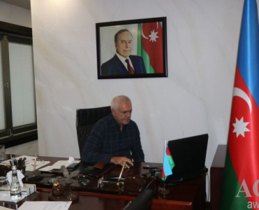 Bakıda güləş üzrə Avropa çempionatı keçiriləcək