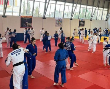 Millimizin Albaniya toplanışı davam edir