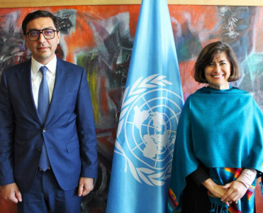 Fərid Qayıbov UNESCO-da komitə sədri seçildi