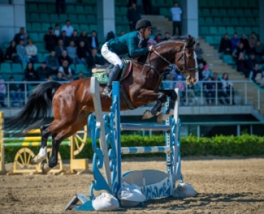 İlin ilk konkur yarışları keçirilib