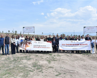 Zəngilanda QDF-in dəstəyi ilə 30.000 ağacdan ibarət meşənin salınması yekunlaşdı