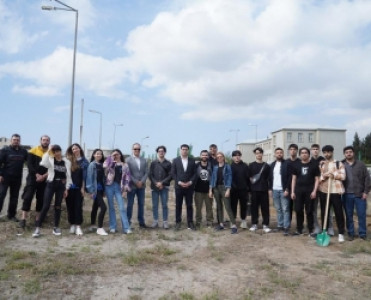 AEİF-in əməkdaşları 100 ədəd Eldar şamı ağacı əkiblər