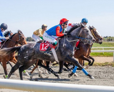 Yorğa atları üzrə respublika birinciliyi keçiriləcək