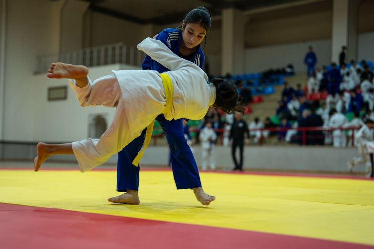 Naxçıvanda kəmər dərəcələri üzrə rəsmi imtahan keçirilib