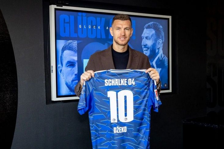 “Şalke” Edin Dzekonu transfer edib