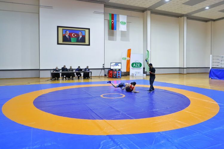 Naxçıvanda sərbəst güləş birinciliyi başa çatıb