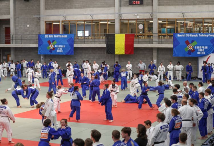 Azərbaycan cüdoçuları Belçikada Olimpiya Təlim Düşərgəsinə qoşulublar