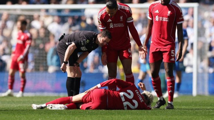 Ekitike bir il yaşıl meydanlardan uzaq qala bilər