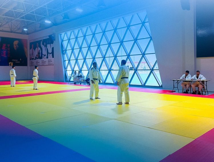 Azərbaycan Cüdo Federasiyası Goranboyda məşqçilər üçün dan seminarı keçirib