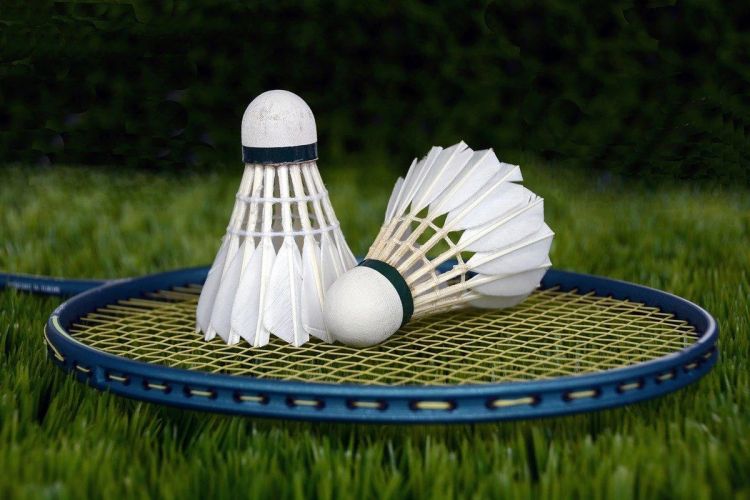 Heydər Əliyevin xatirəsinə həsr edilmiş badminton turniri keçiriləcək