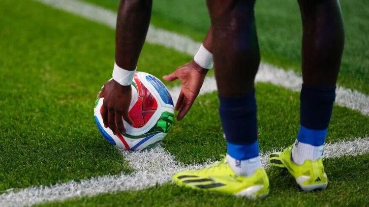 FİFA final stadionunun otundan milyonlar qazanacaq