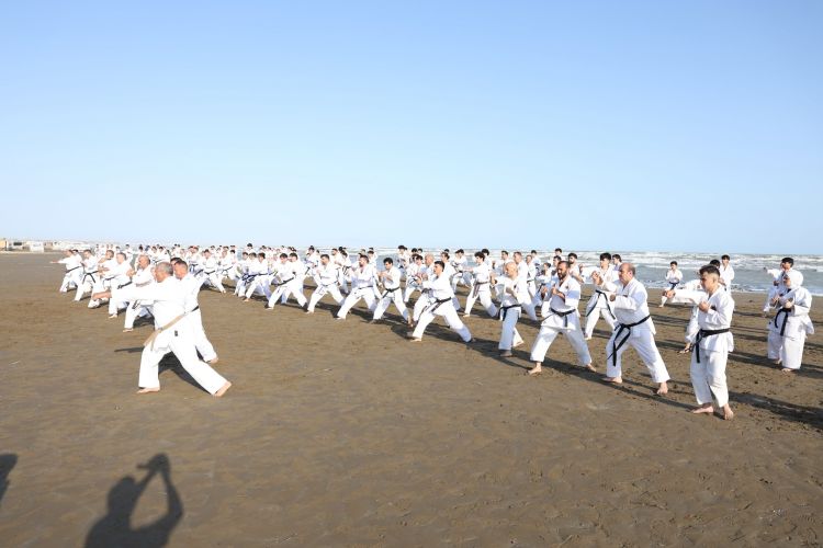 Bakıda karate üzrə genişmiqyaslı texniki seminar keçirilib