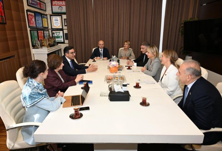 Fərid Qayıbov Gürcüstan parlamentinin sədr müavini ilə görüşüb
