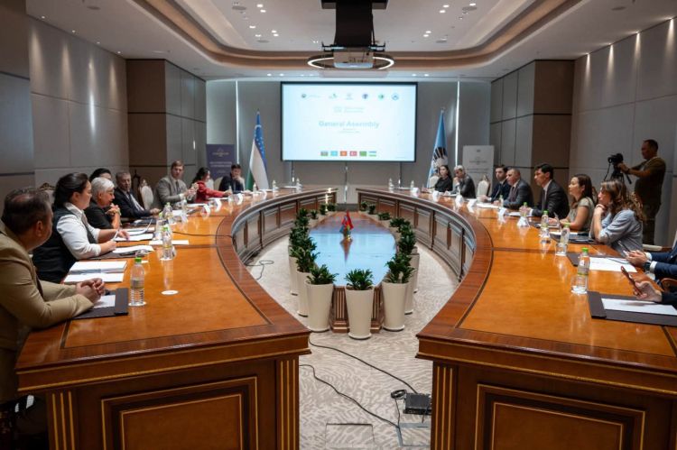 Türkdilli ölkələrin şahmat strategiyası açıqlanıb