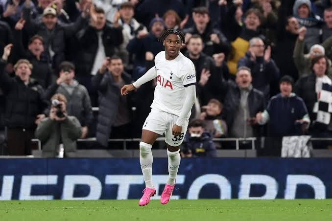 “Fiorentina” “Tottenhem”in müdafiəçisini transfer etmək istəyir
