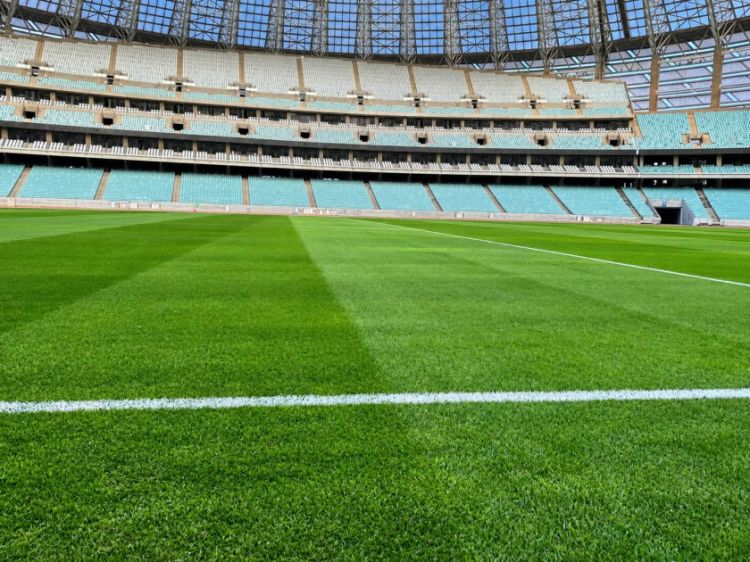 “Sabah”ın Çempionlar Liqası oyunları üçün Bakı Olimpiya Stadionunun ot örtüyü hazırdır