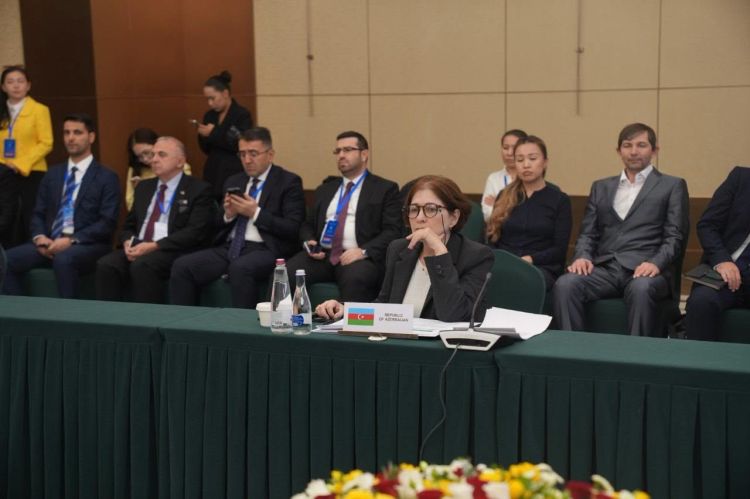 Azərbaycan nümayəndə heyəti Bişkekdə beynəlxalq görüşlərdə iştirak edib